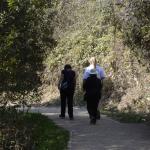 cambria_256 (November 03, 2018)